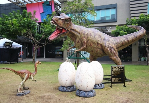 141 T-REX LIFE SIZE DINOSAUR RAPTOR DINOSAUR DINOSAU EGGS LIFE LIKE 1