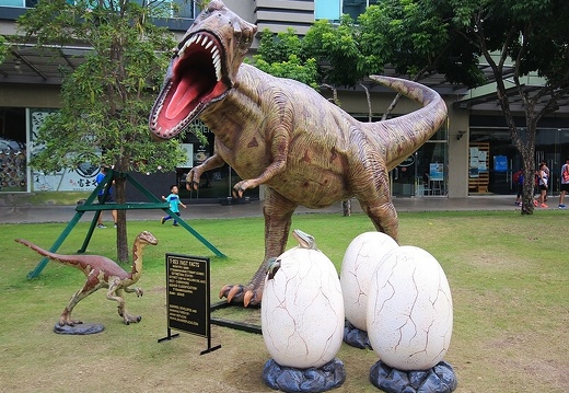 141 T-REX LIFE SIZE DINOSAUR RAPTOR DINOSAUR DINOSAU EGGS LIFE LIKE 3