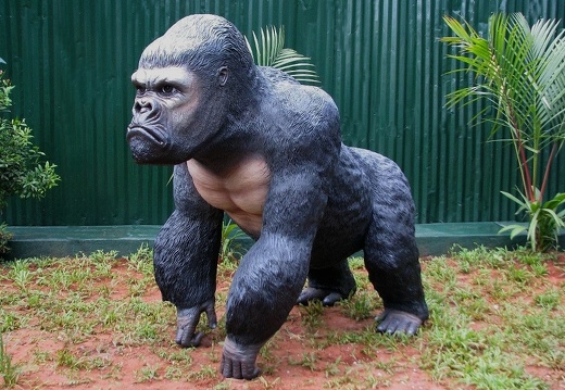 143 LIFE LIKE SILVER BACK MALE GORILLA 1