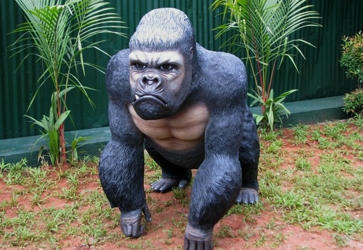 143 LIFE LIKE SILVER BACK MALE GORILLA 2