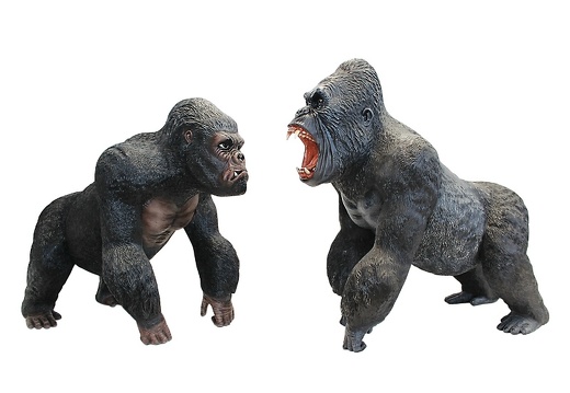144 LIFE LIKE PAIR OF SILVER BACK MALE GORILLAS