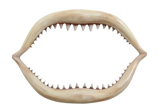 397 LIFE LIKE JAWS GREAT WHITE SHARKS TEETH 1