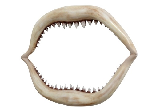 397 LIFE LIKE JAWS GREAT WHITE SHARKS TEETH 2
