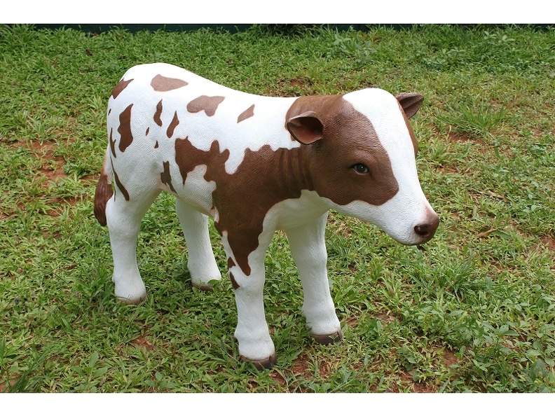 497_LIFE_LIKE_BABY_BROWN_WHITE_COW_STANDING.JPG