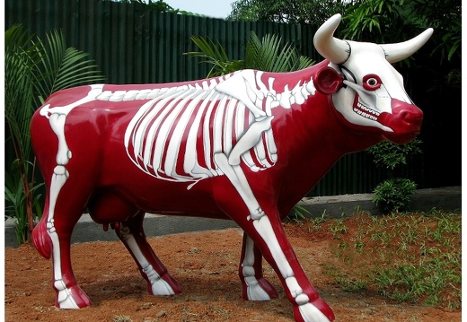 502 LIFE LIKE RED SKELETON COW ANY DESIGN PAINTED 1