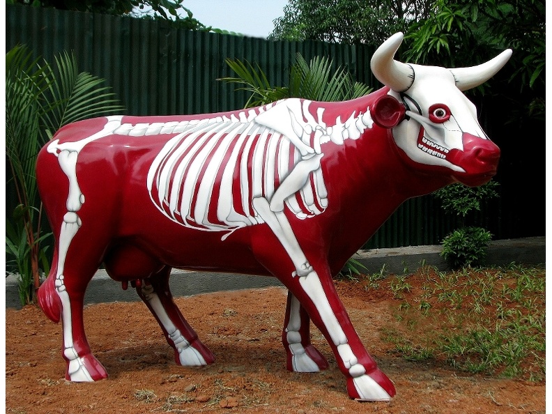 502_LIFE_LIKE_RED_SKELETON_COW_ANY_DESIGN_PAINTED_1.JPG