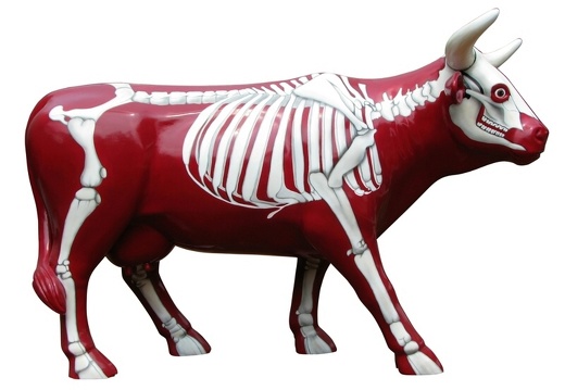 502 LIFE LIKE RED SKELETON COW ANY DESIGN PAINTED 2