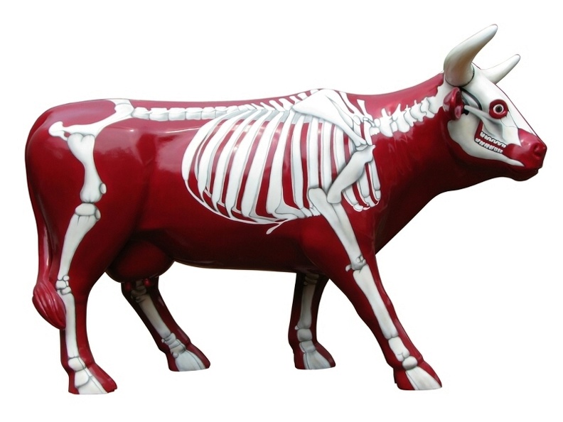 502_LIFE_LIKE_RED_SKELETON_COW_ANY_DESIGN_PAINTED_2.JPG