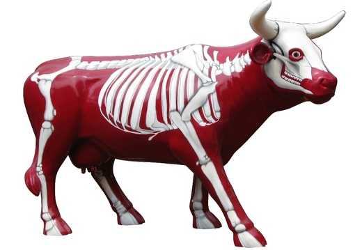 502 LIFE LIKE RED SKELETON COW ANY DESIGN PAINTED 3