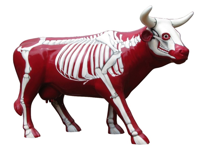 502_LIFE_LIKE_RED_SKELETON_COW_ANY_DESIGN_PAINTED_3.JPG