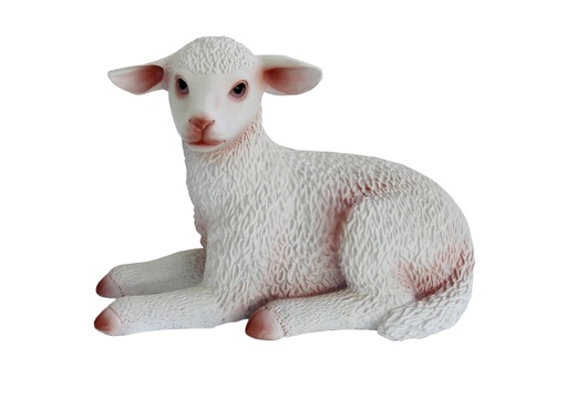 559 LIFE LIKE WHITE BABY SHEEP