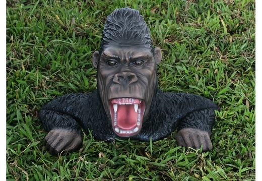 609 LIFE LIKE ANGRY GORILLA CLIMBING OUT OF THE GROUND