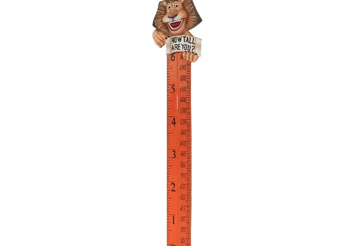 B0418 FRIENDLY FUNNY LION HOW TALL ARE YOU RULER 3