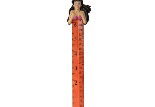 B0422 FRIENDLY FUNNY MERMAID HOW TALL ARE YOU RULER 1