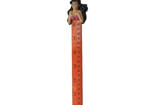 B0422 FRIENDLY FUNNY MERMAID HOW TALL ARE YOU RULER 3
