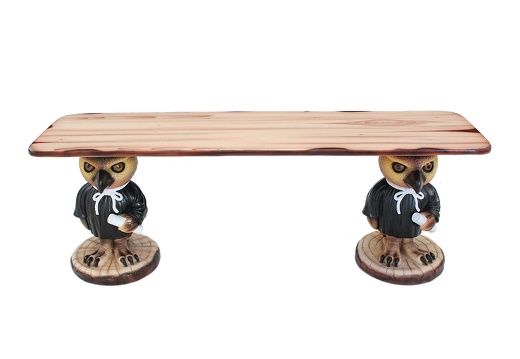 JJ638 FUNNY OWL TEACHER BENCH WITH WOOD EFFECT TOP