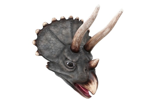 241 TRICERATOPS DINOSAUR HEAD WALL MOUNTED LIFE SIZE 1