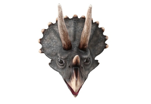 241 TRICERATOPS DINOSAUR HEAD WALL MOUNTED LIFE SIZE 2