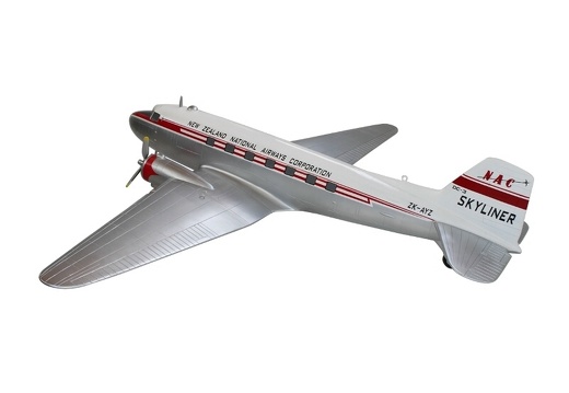 JBAV002 LARGE DOUGLAS DC-3 AIRPLANE ANY DESIGNS PAINTED 4